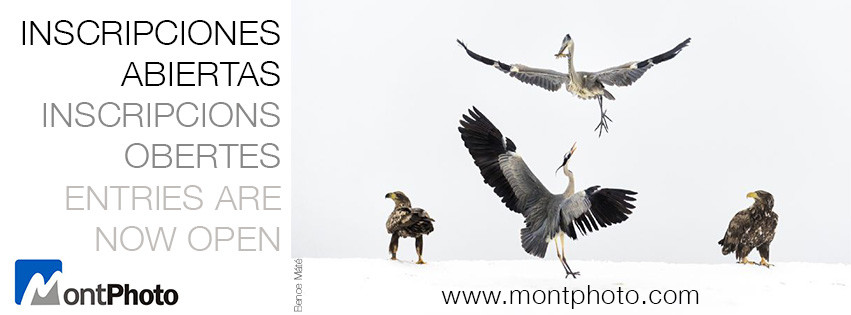 Concurso Montphoto 2017